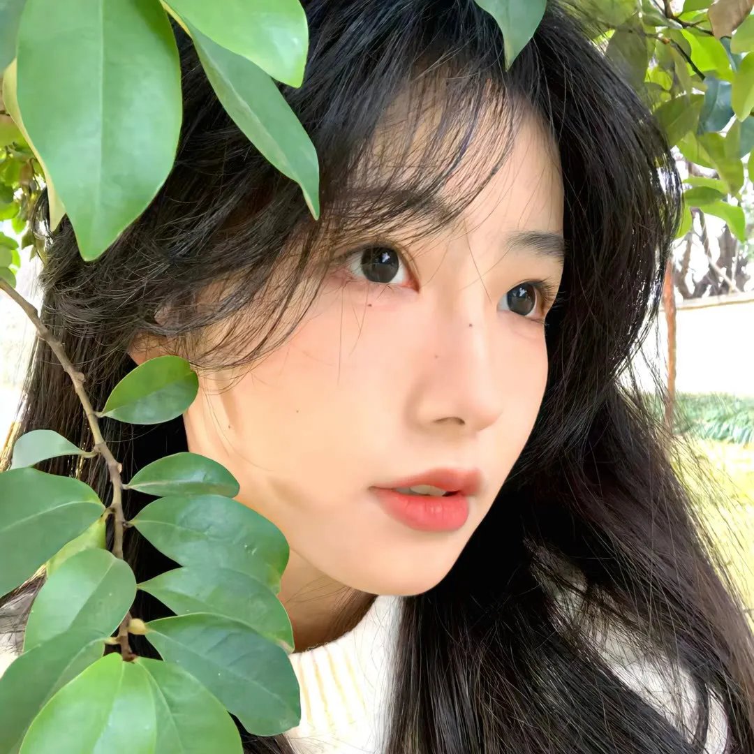 猫头鹰与麻雀